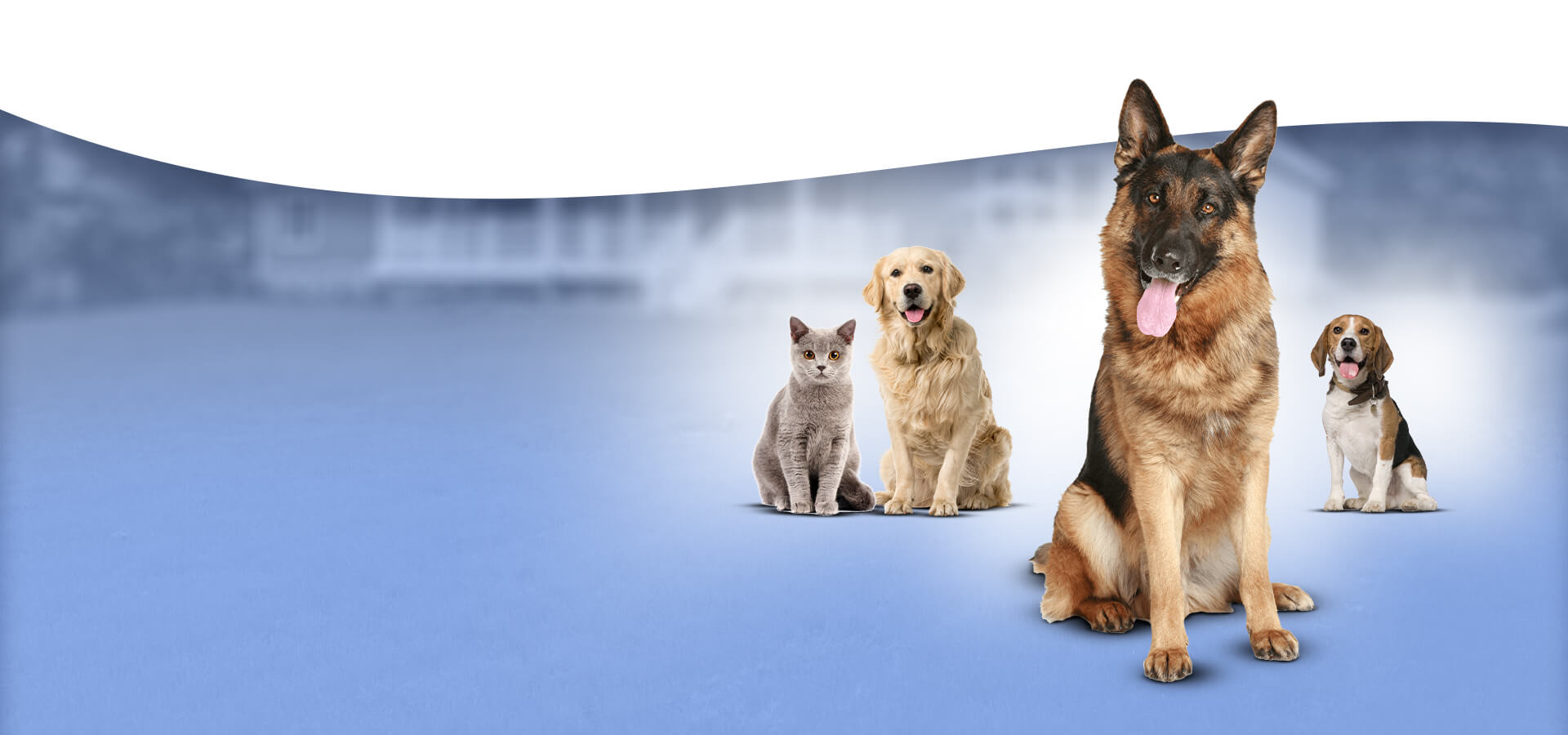 Best pet clinic ooty